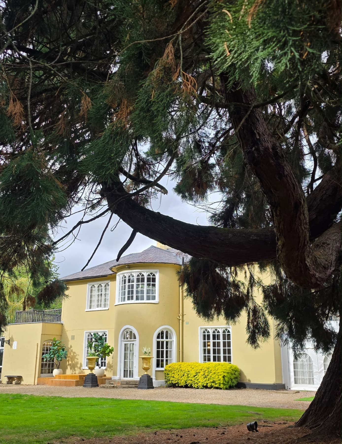 The house viewed through the garden trees